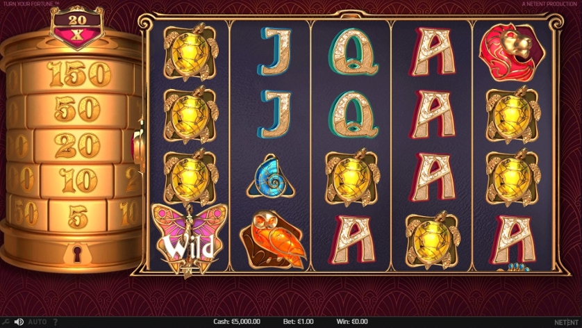 Turn Your Fortune