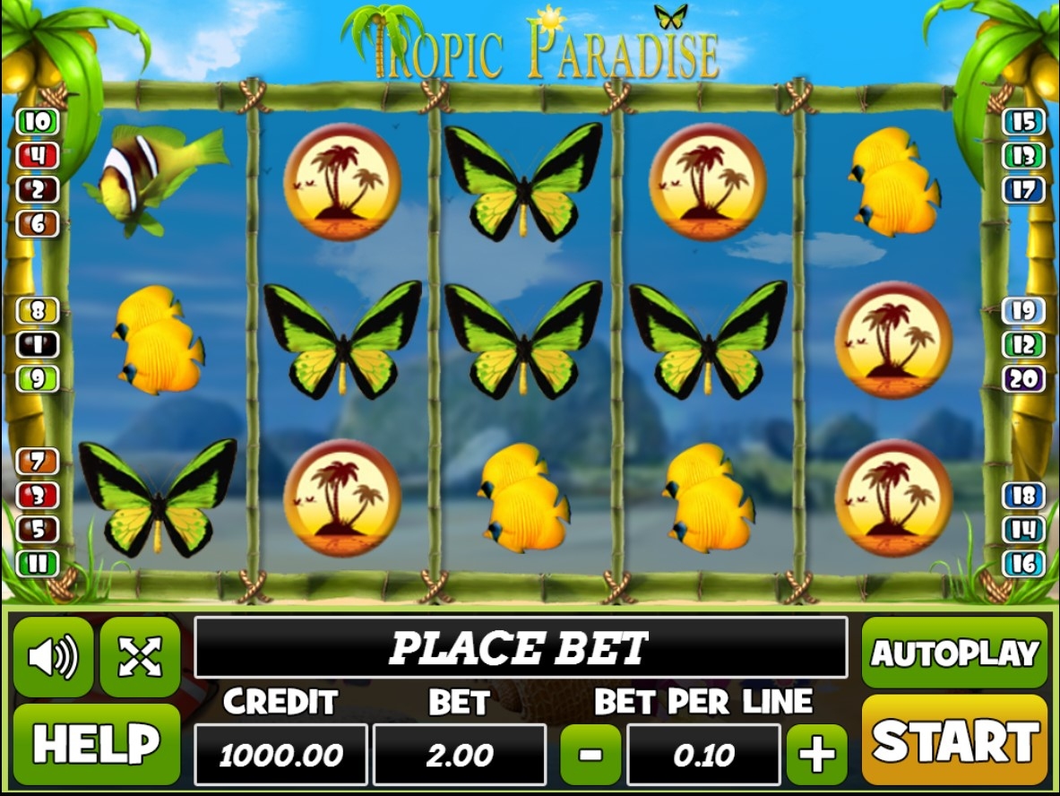 Tropic Paradise
