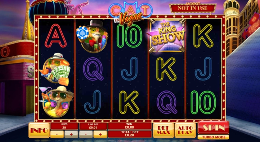 Cat in Vegas