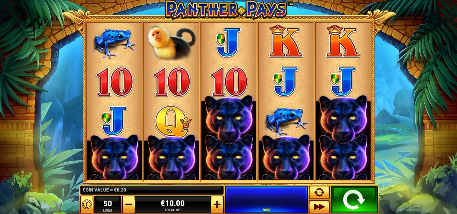 Panther Pays