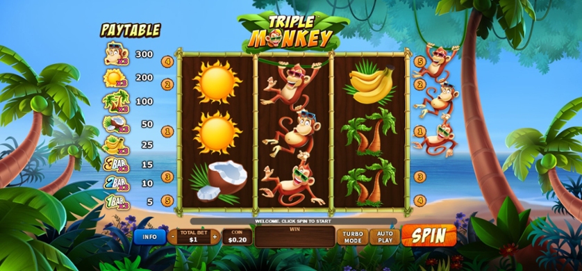 Triple Monkey