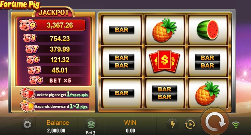 Fortune Pig