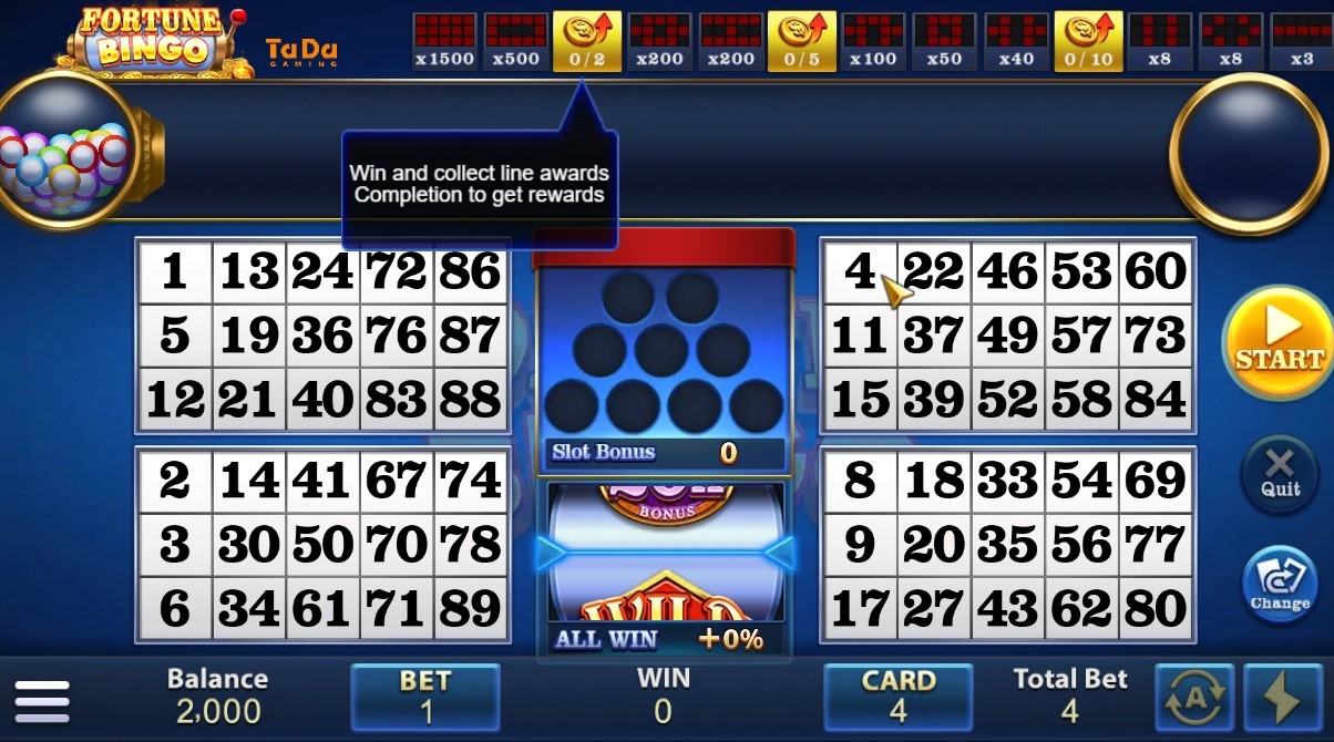 Fortune Bingo