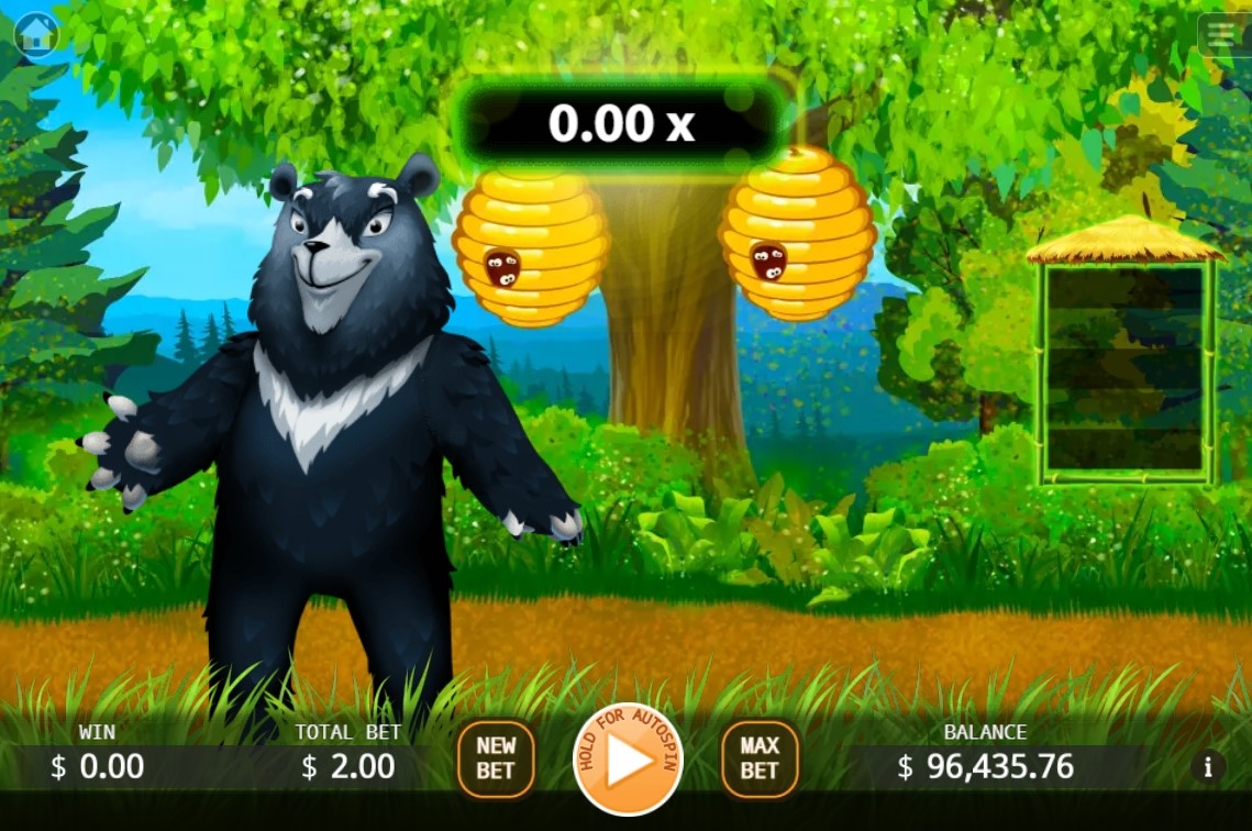 Bear Run