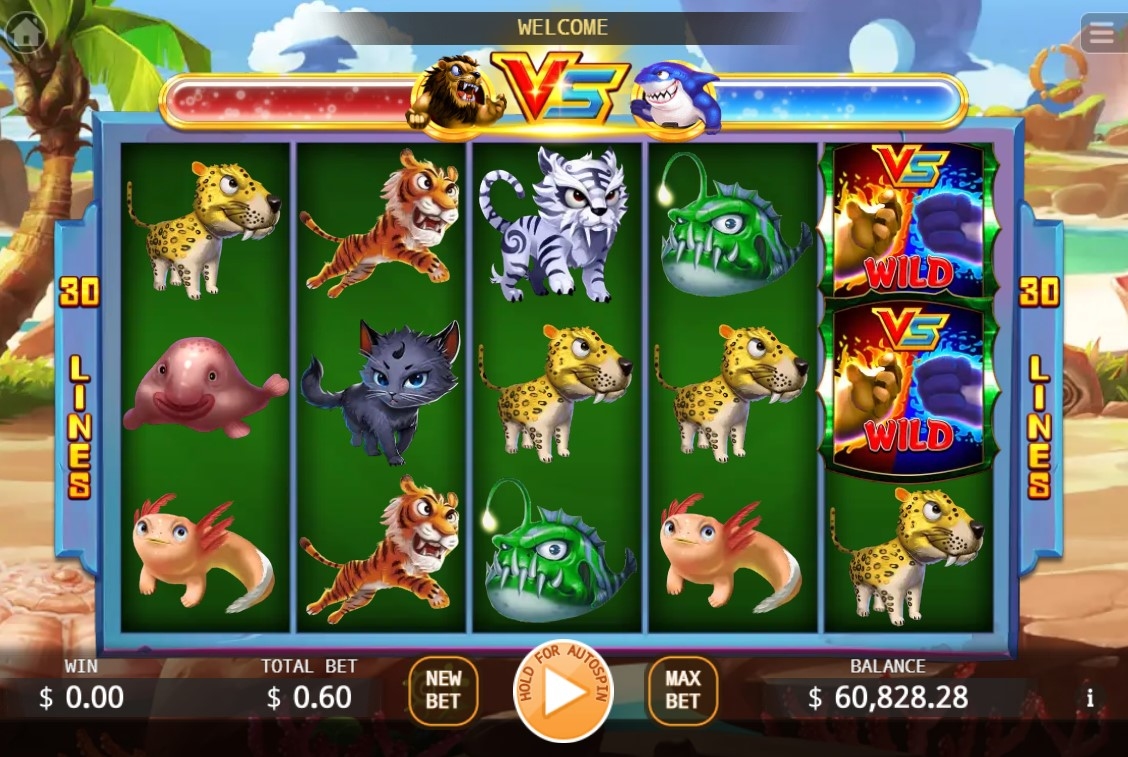 Lion vs Shark