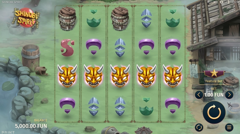 Shinobi Spirit