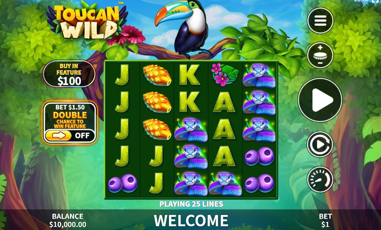 Toucan Wild