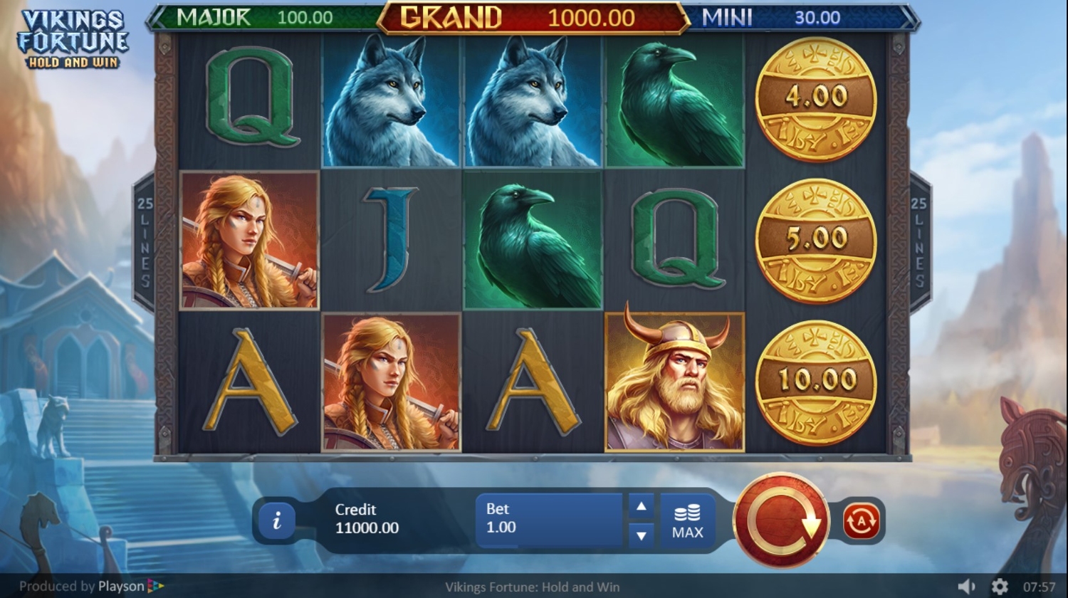 Vikings Fortune