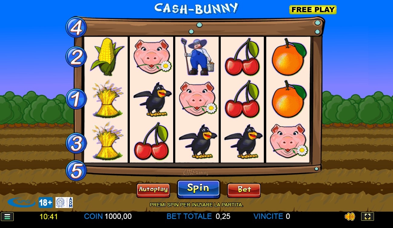 Cash Bunny