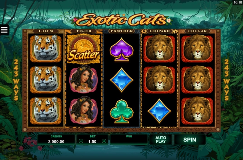 Exotic Cats