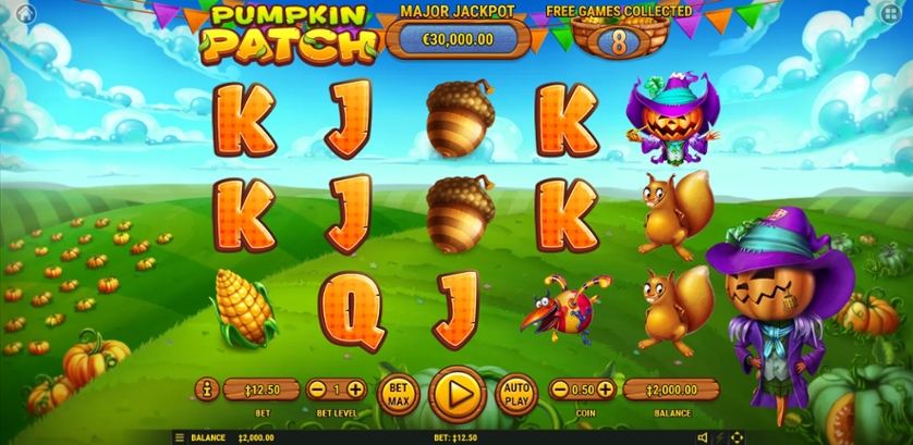 Pumpkin Patch