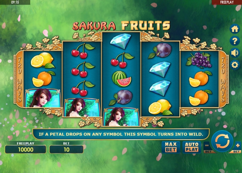 Sakura Fruits