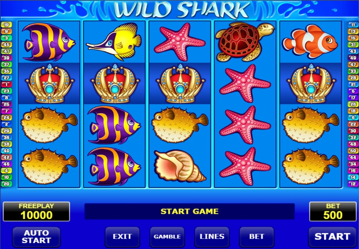 Wild Shark