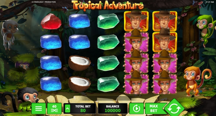 Tropical Adventure