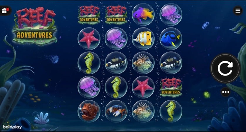 Reef Adventures