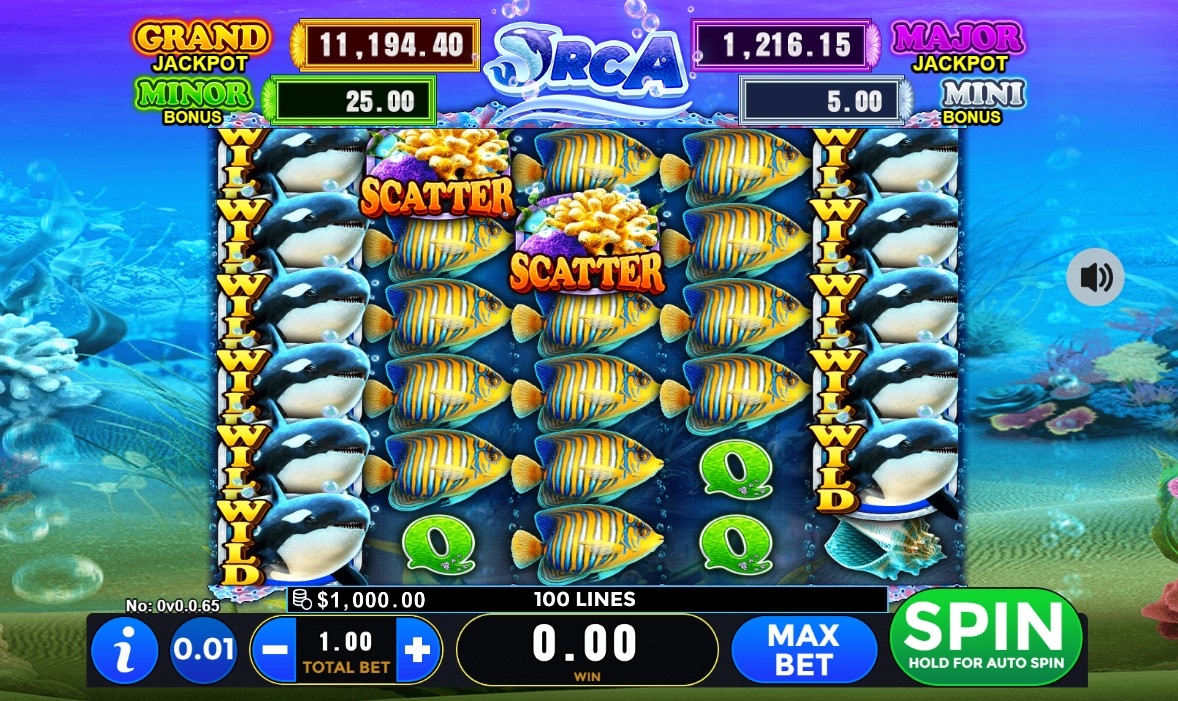 Orca