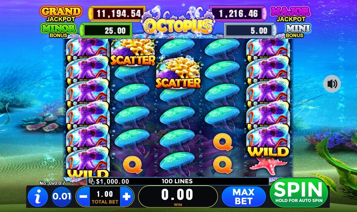 Octopus