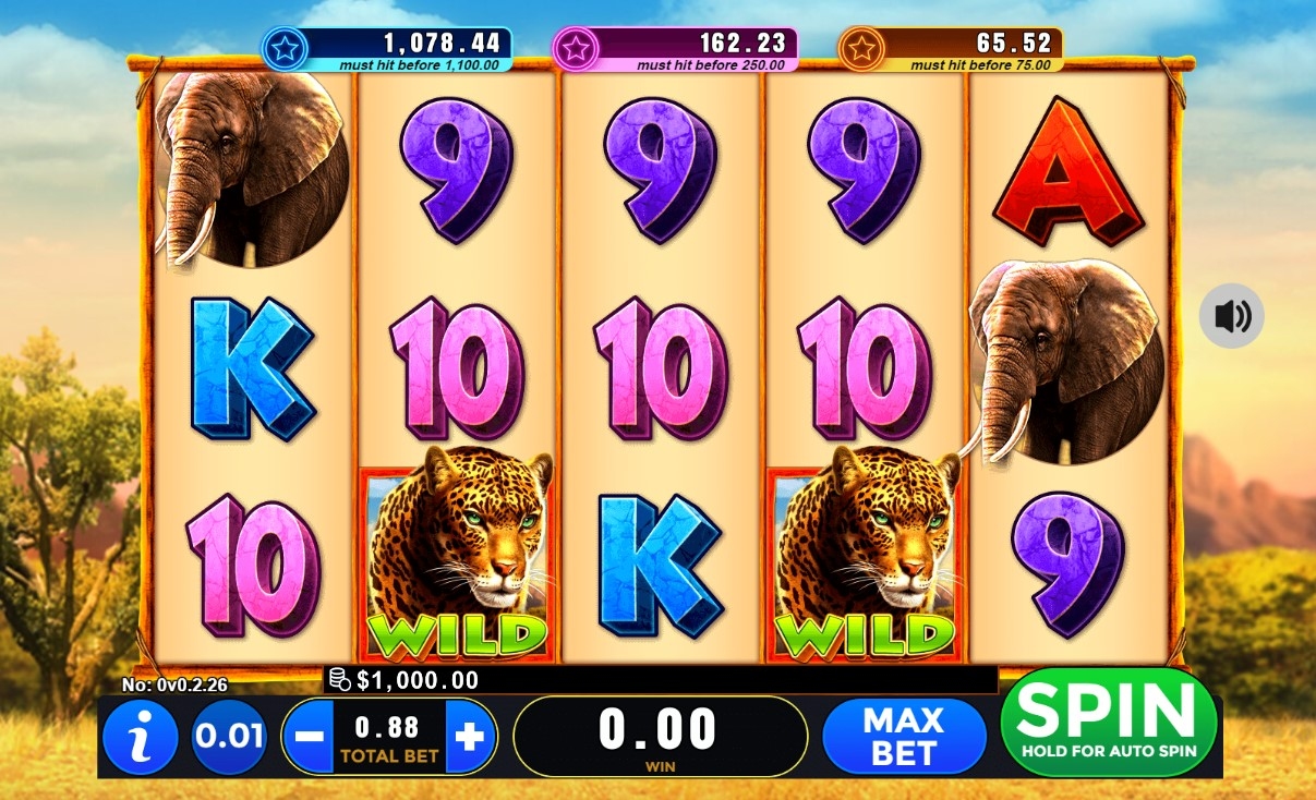 Wild Safari