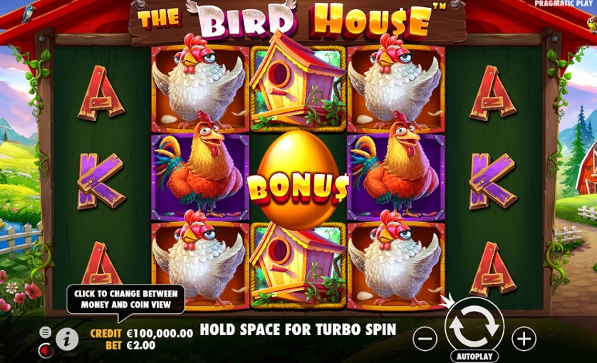 The Bird House
