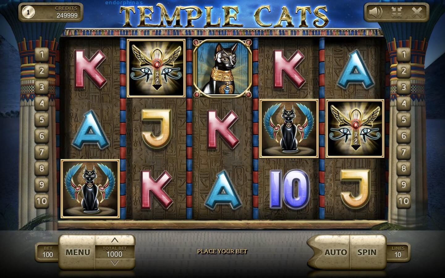 Temple Cats