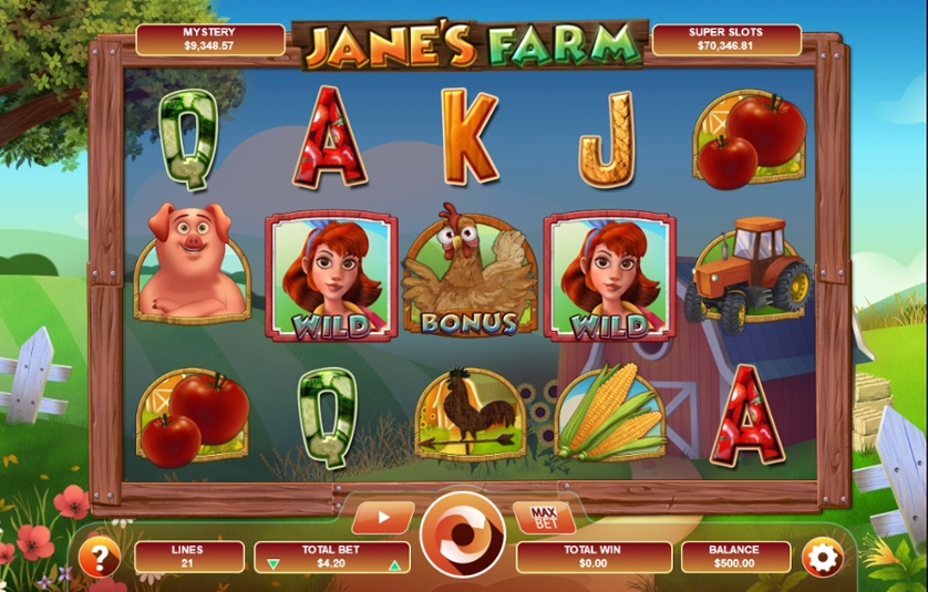 Jane’s Farm