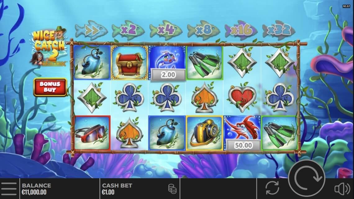Nice Catch 2 DoubleMax
