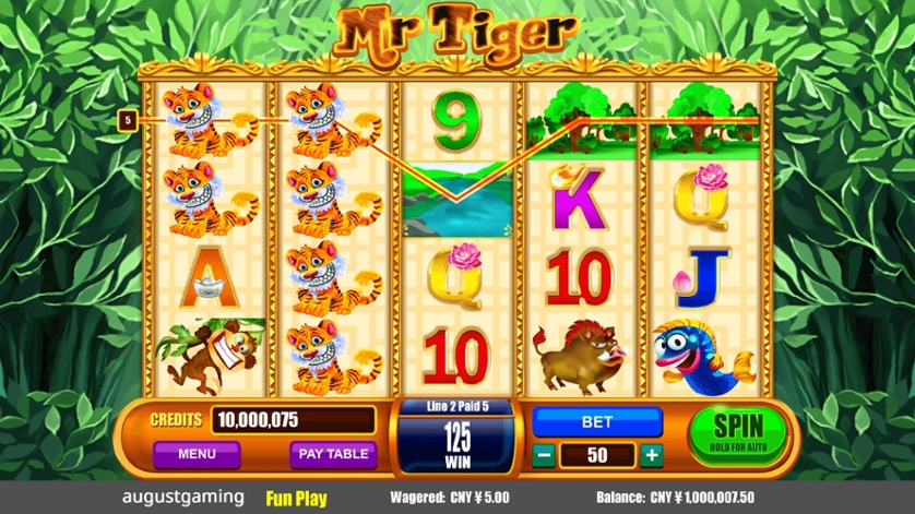 Mr Tiger