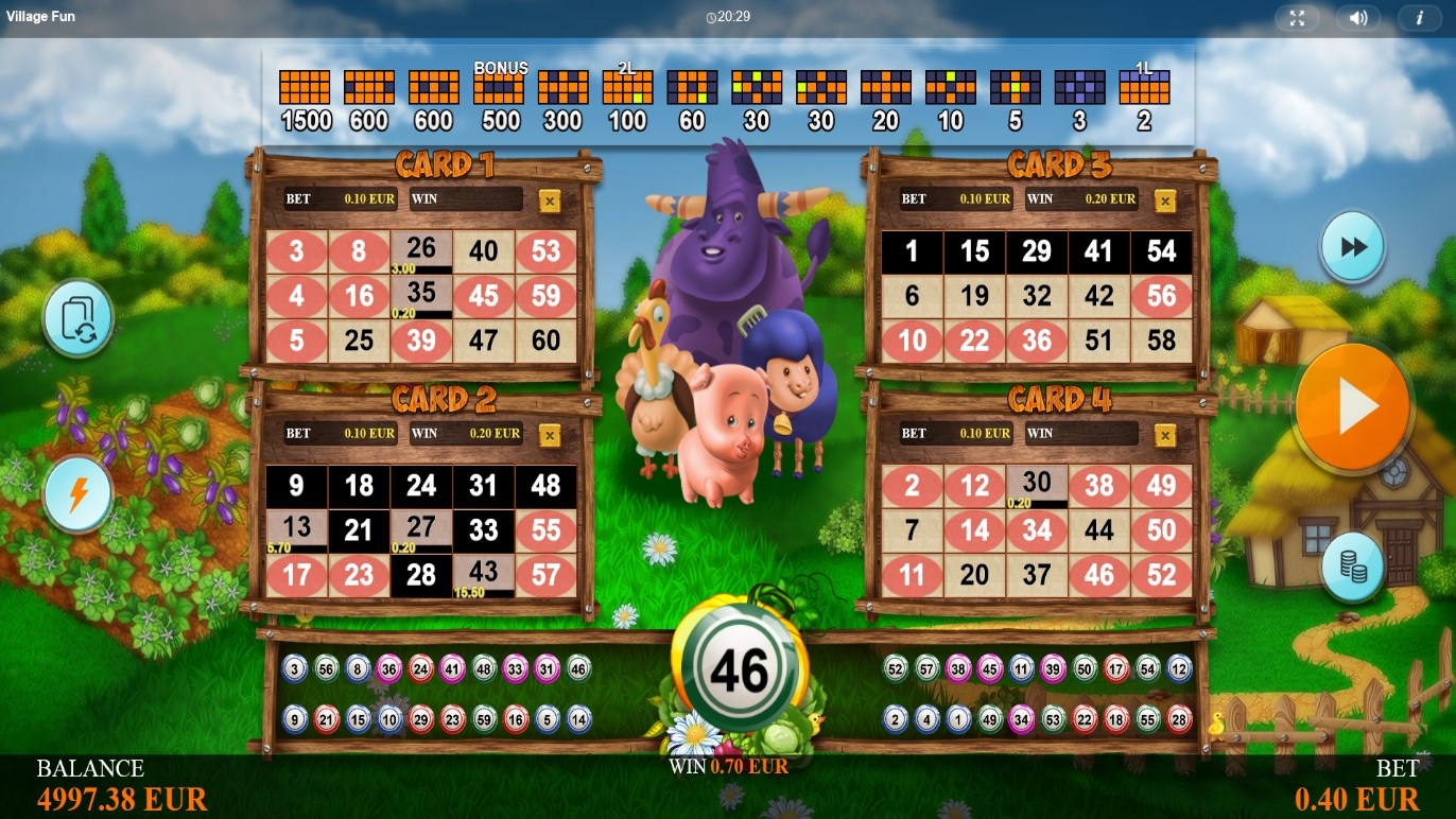 Village Fun