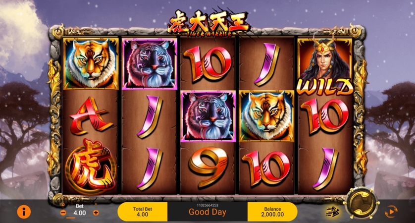 Tiger Warrior