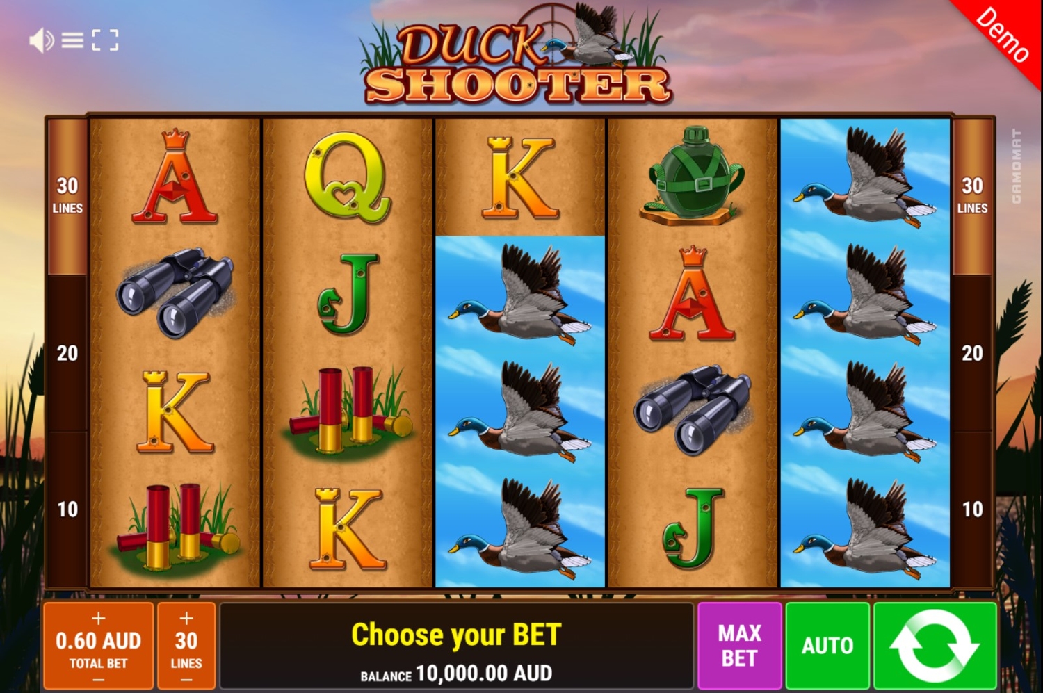 Duck Shooter
