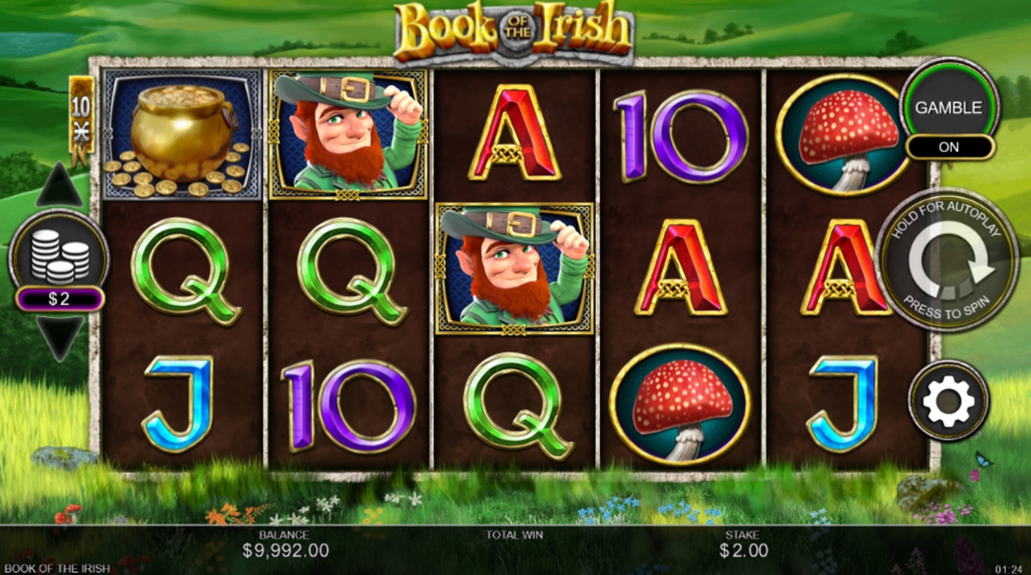 Book of the Irish
