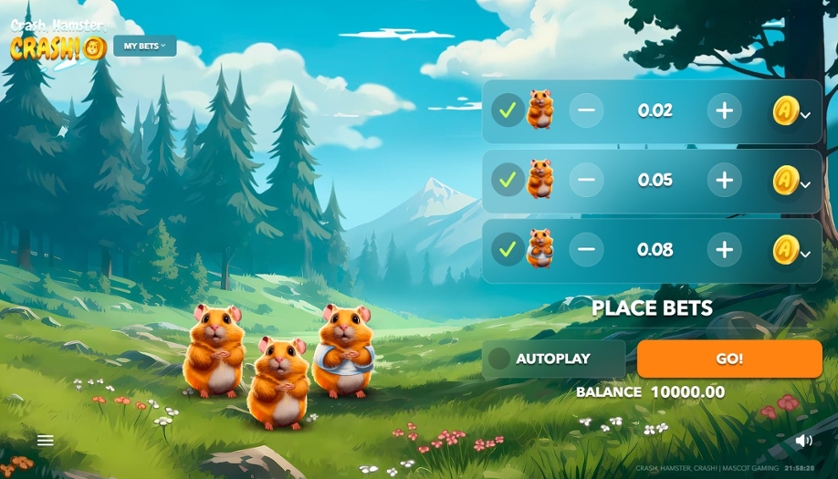 Crash Hamster Crash