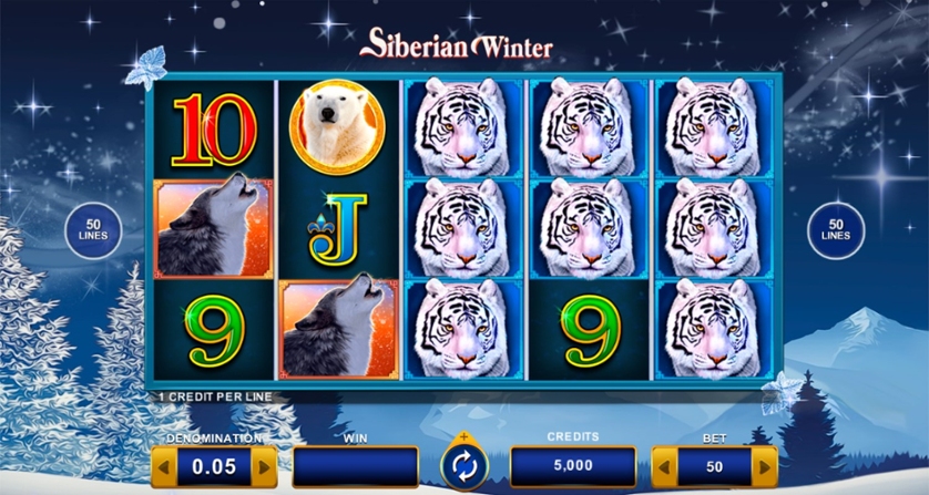 Siberian Winter
