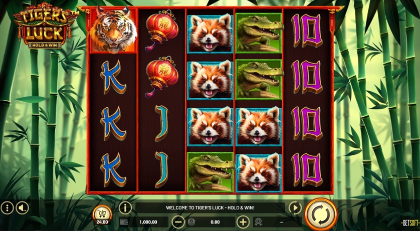 Tiger's Luck