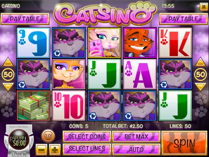 Catsino