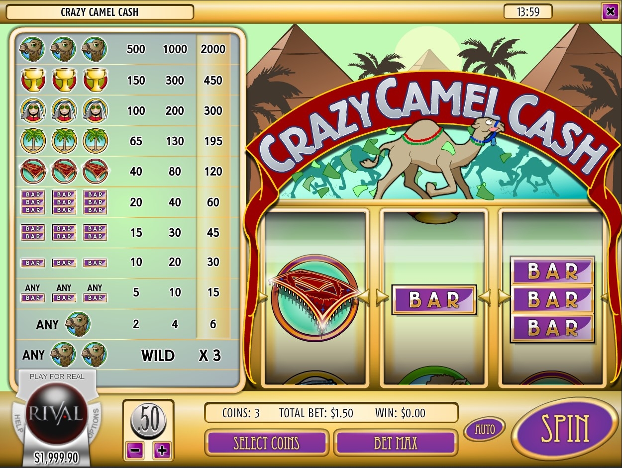 Crazy Camel Cash
