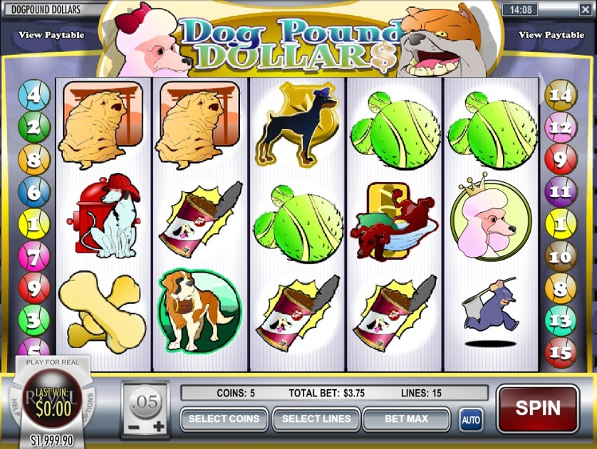 Dog Pound Dollars