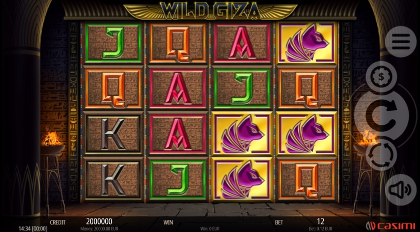 Wild Giza