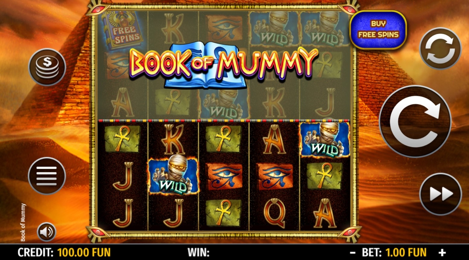 Book of Mummy (Octavian Gaming)