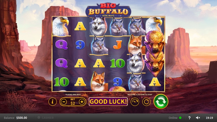 Big Buffalo