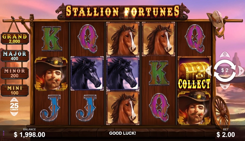 Stallion Fortunes