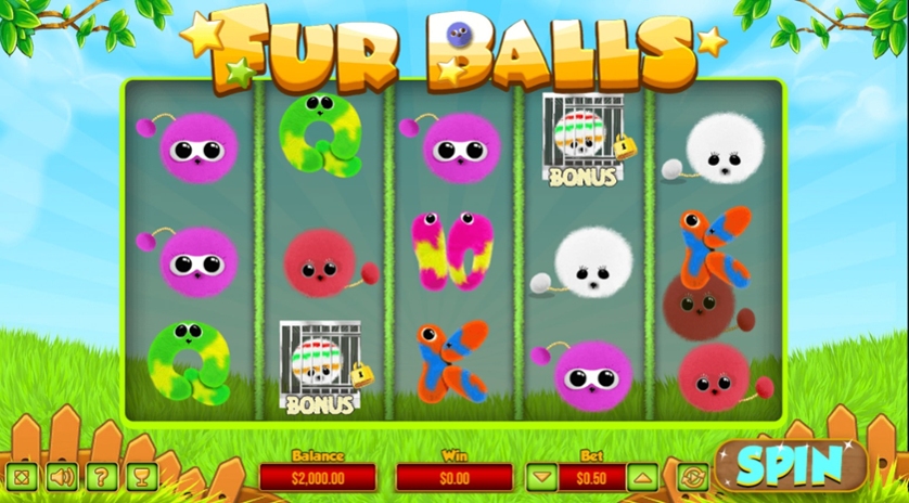Fur Balls