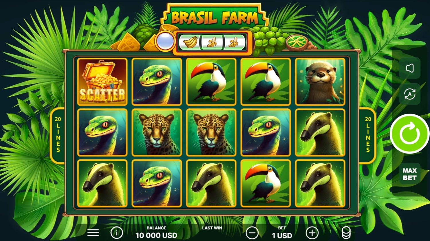 Brazil Farm