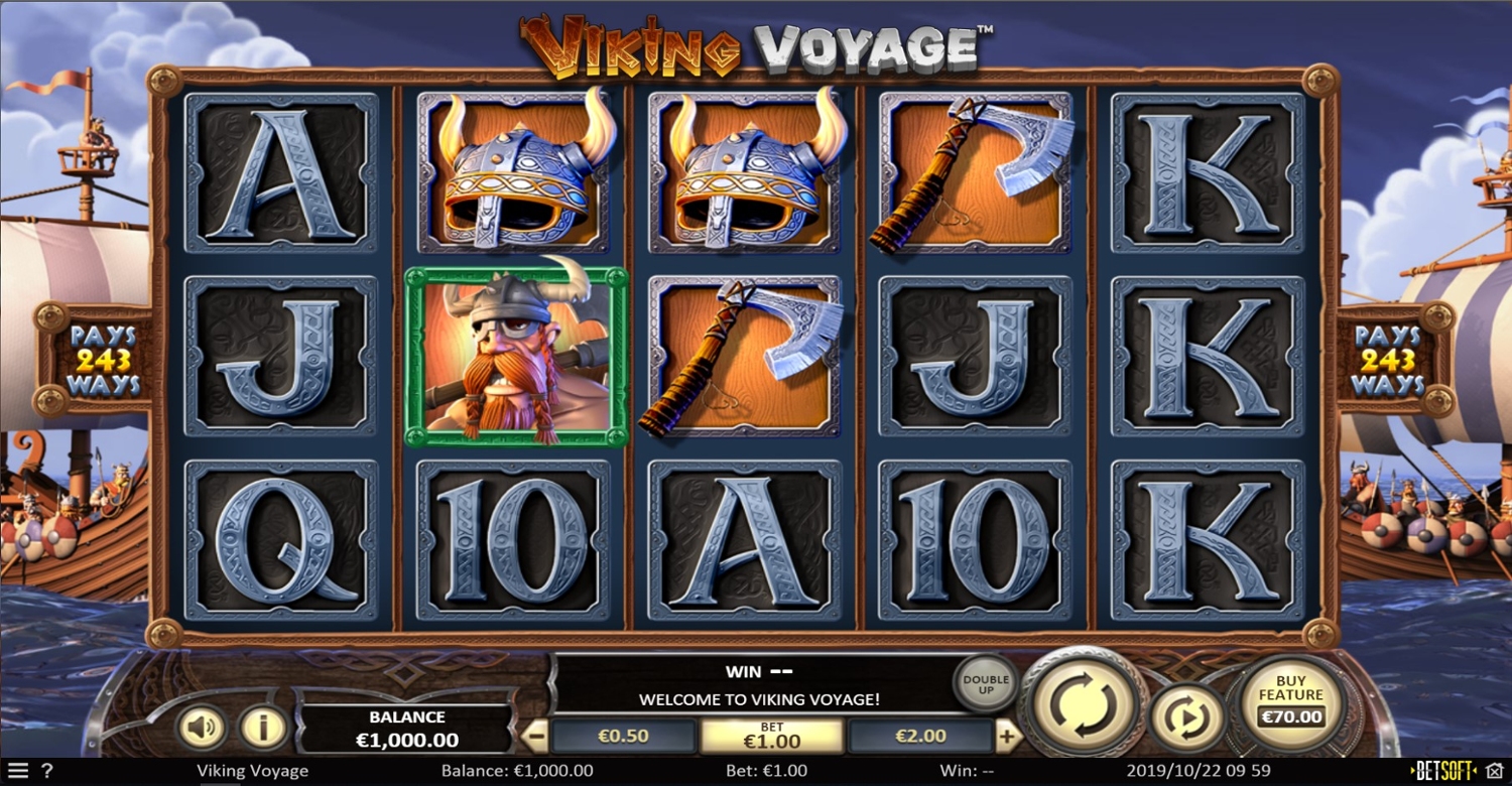 Viking Voyage