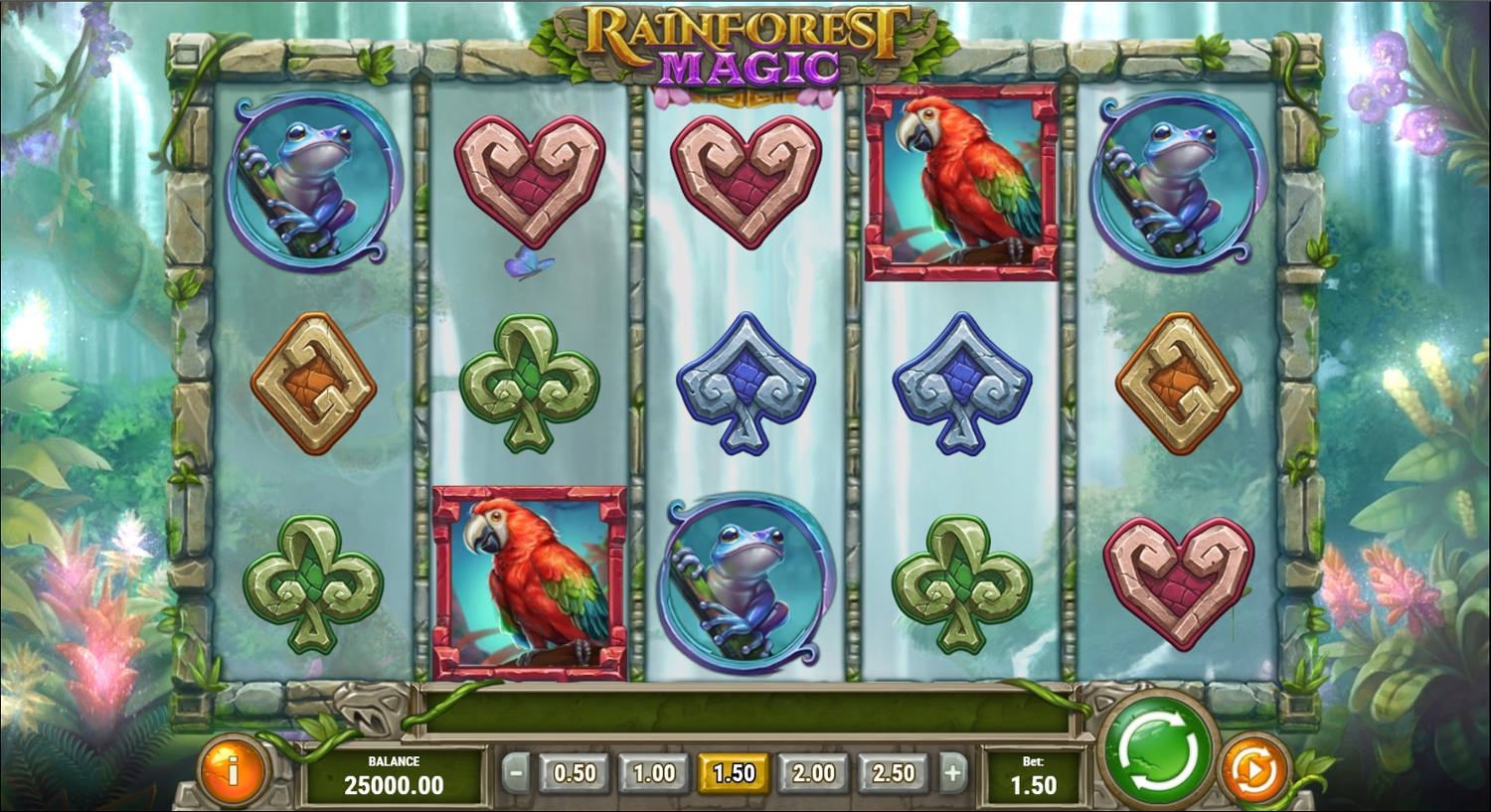 Rainforest Magic