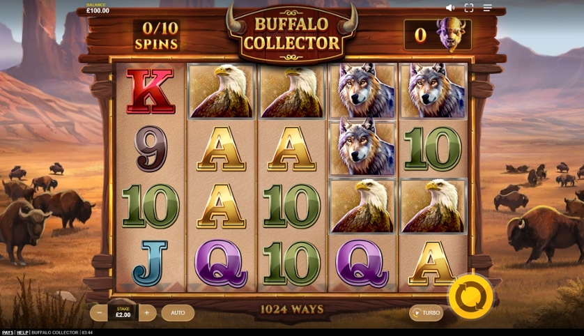Buffalo Collector