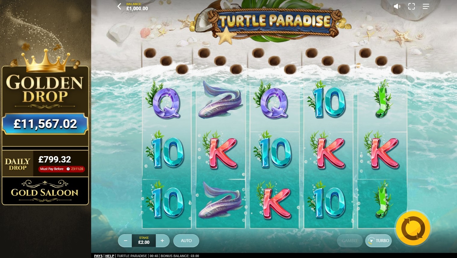 Turtle Paradise