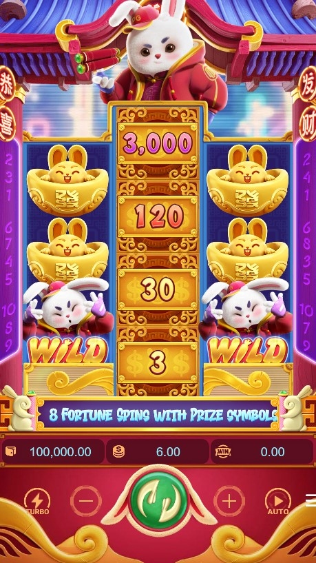 Fortune Rabbit