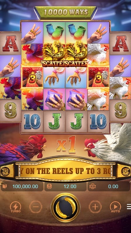 Rooster Rumble
