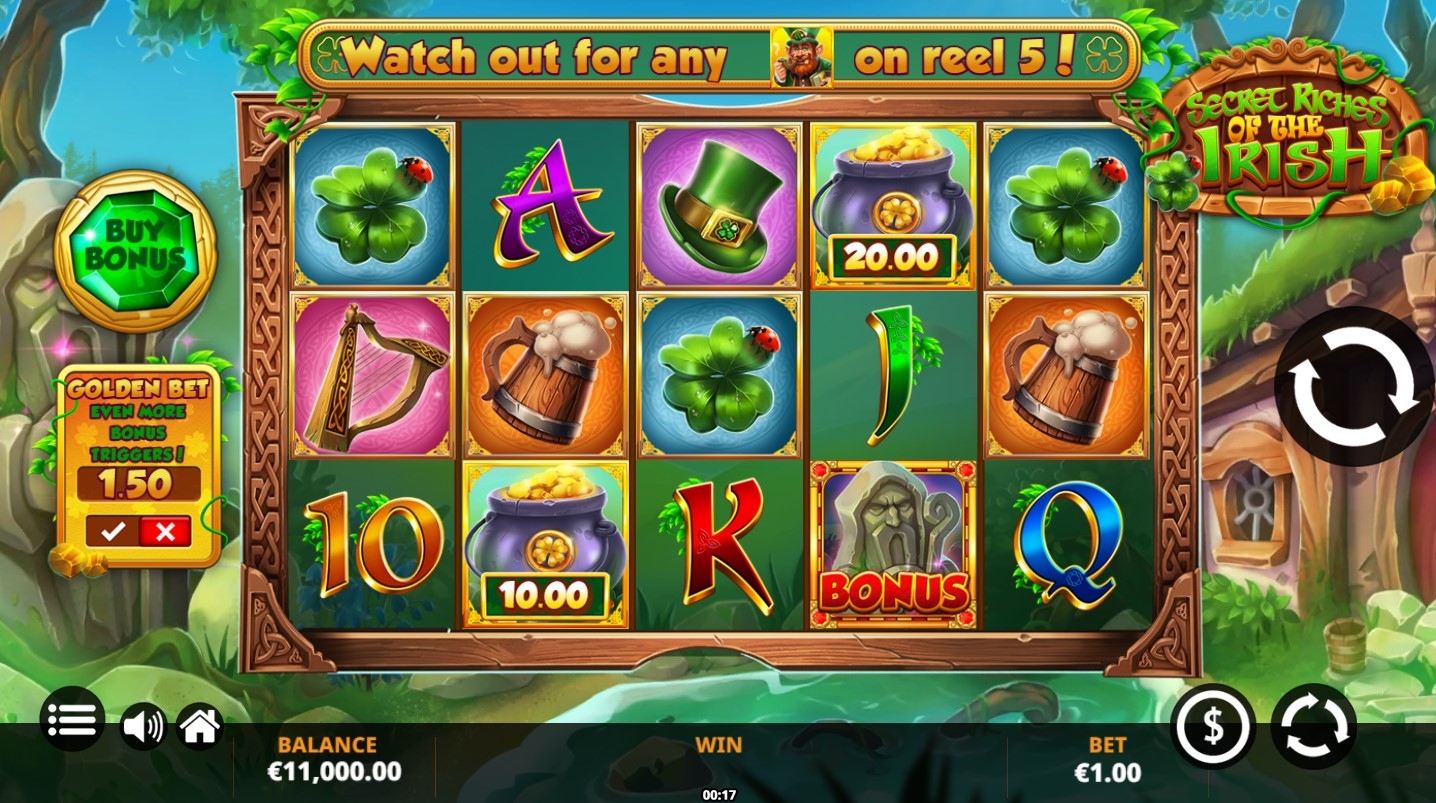 Secret Riches of the Irish
